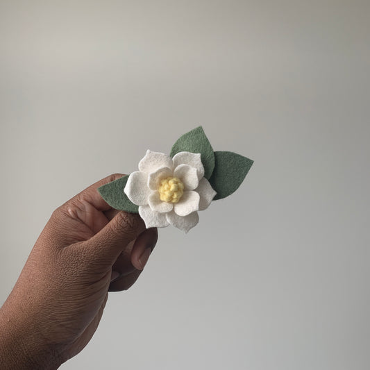 small magnolia with green leaves