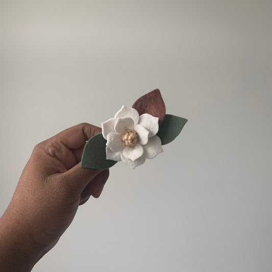 small magnolia with brown leaf