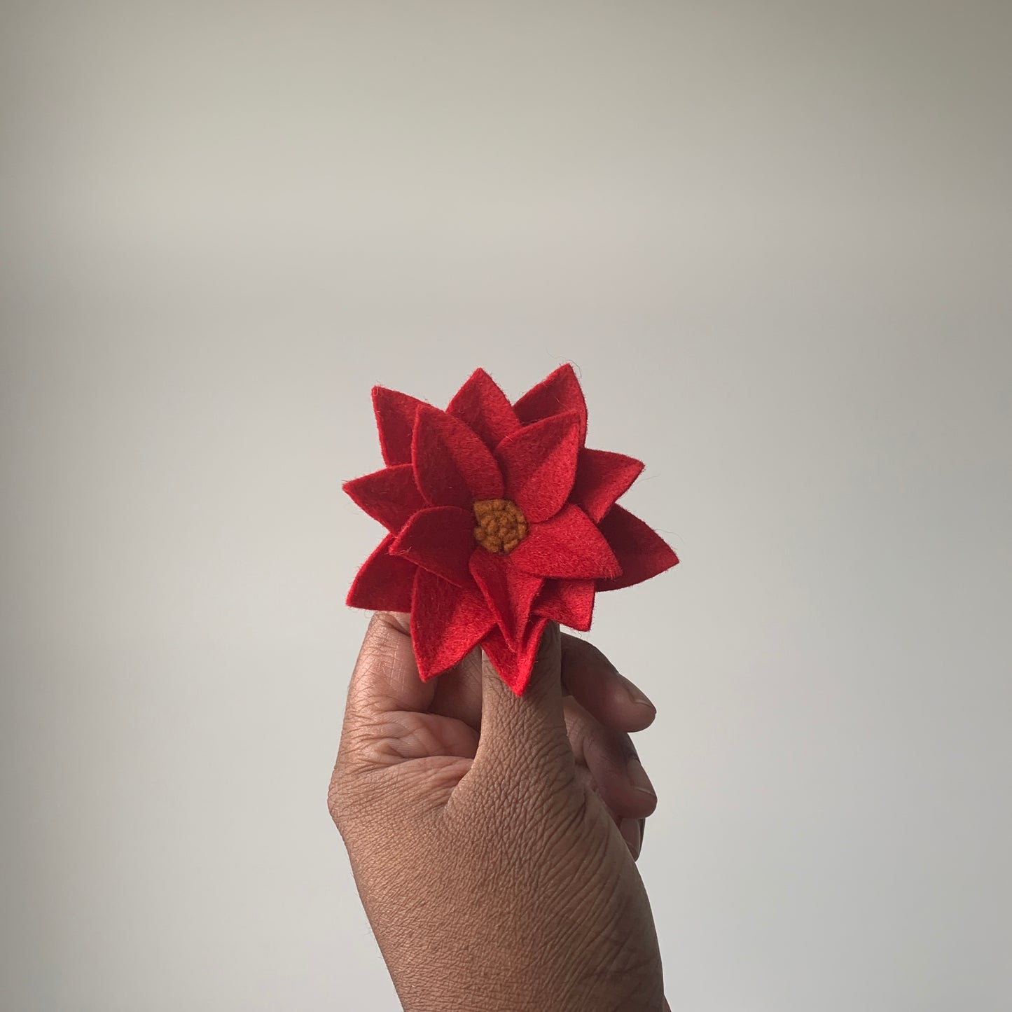 small red poinsettia