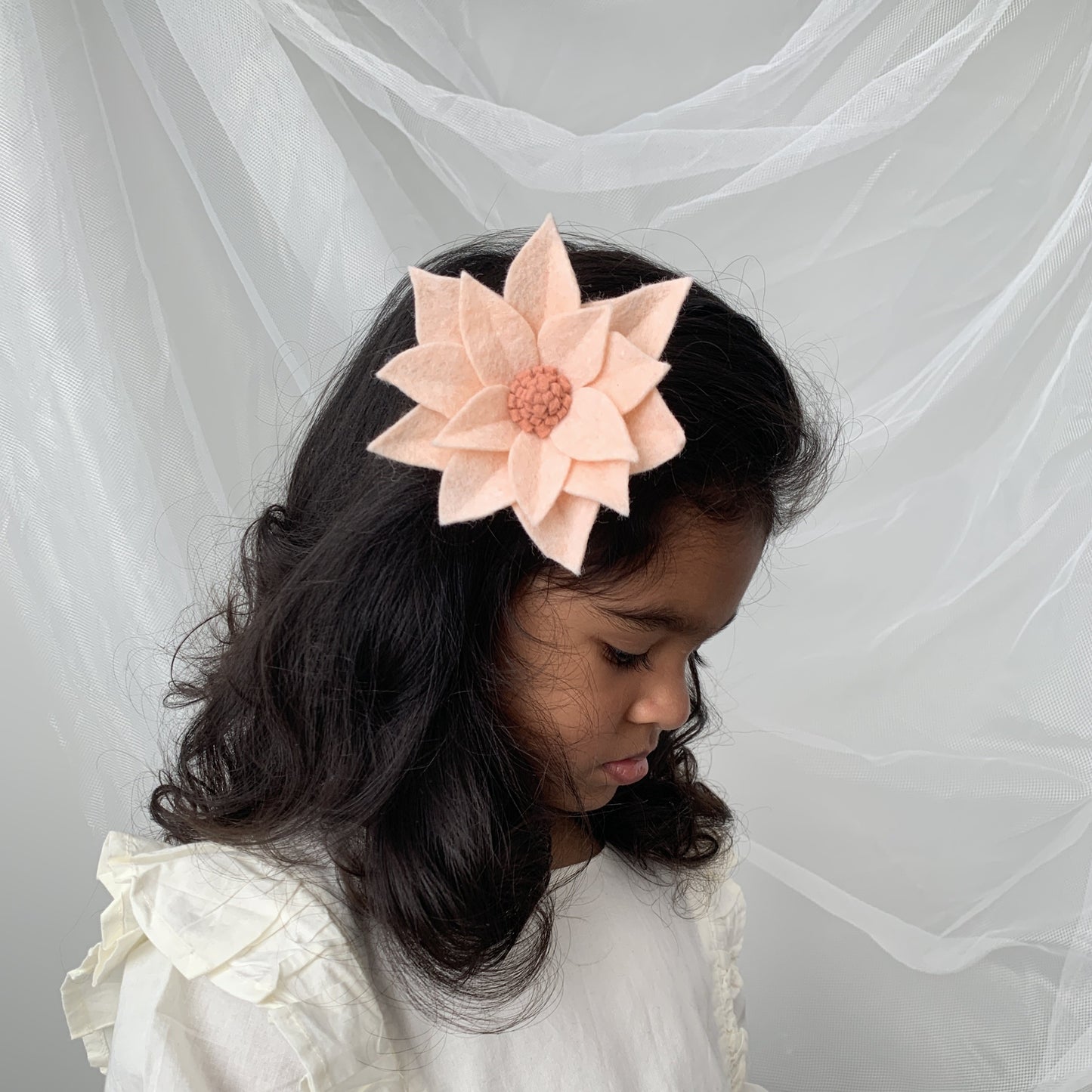 medium blush poinsettia