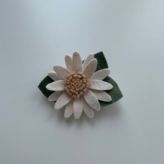 neutral wild summer daisy