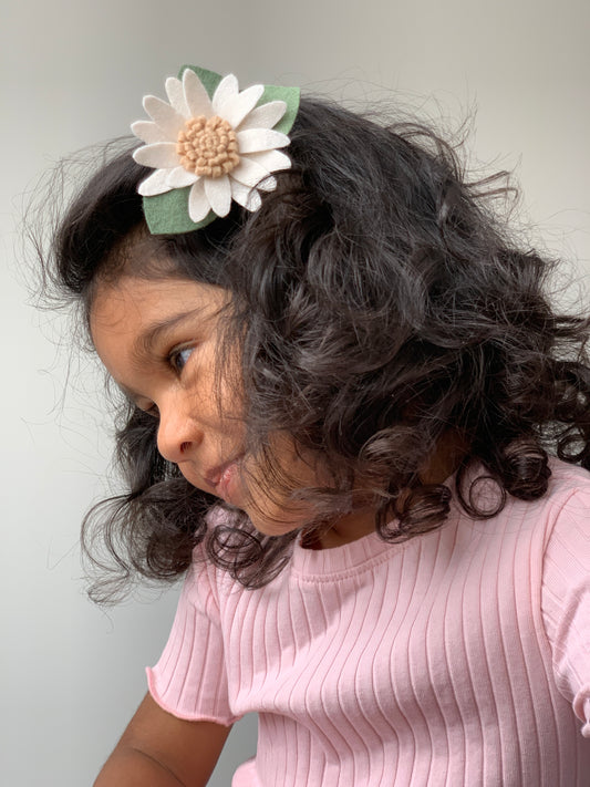 neutral wild summer daisy