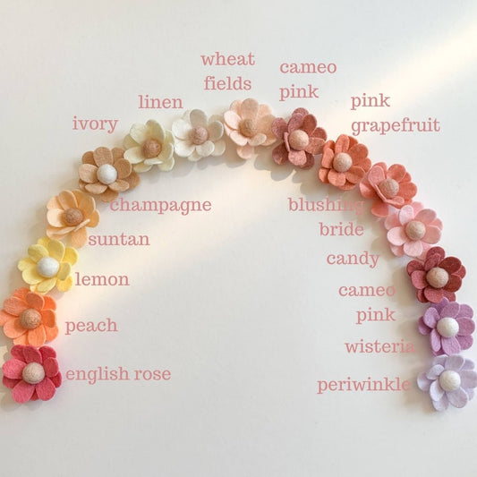 single mini daisy with leaves