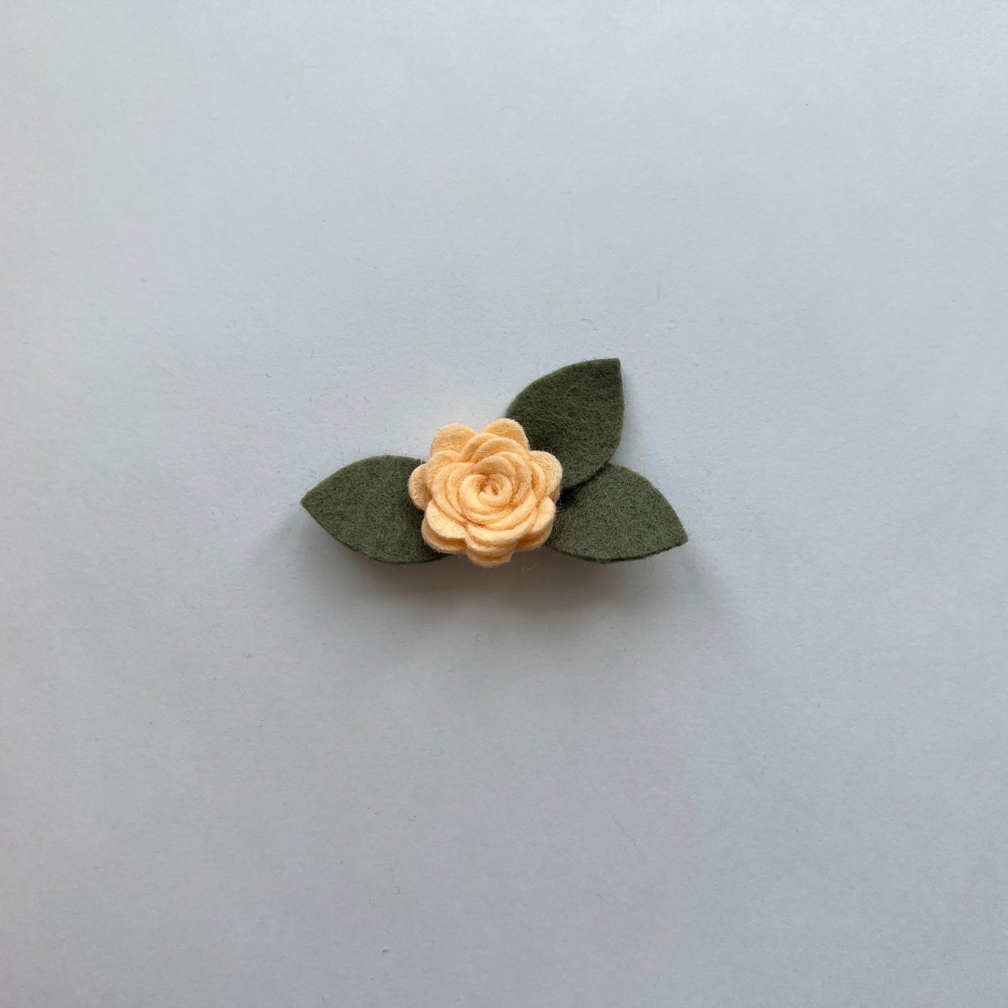 tiny summer single flowers
