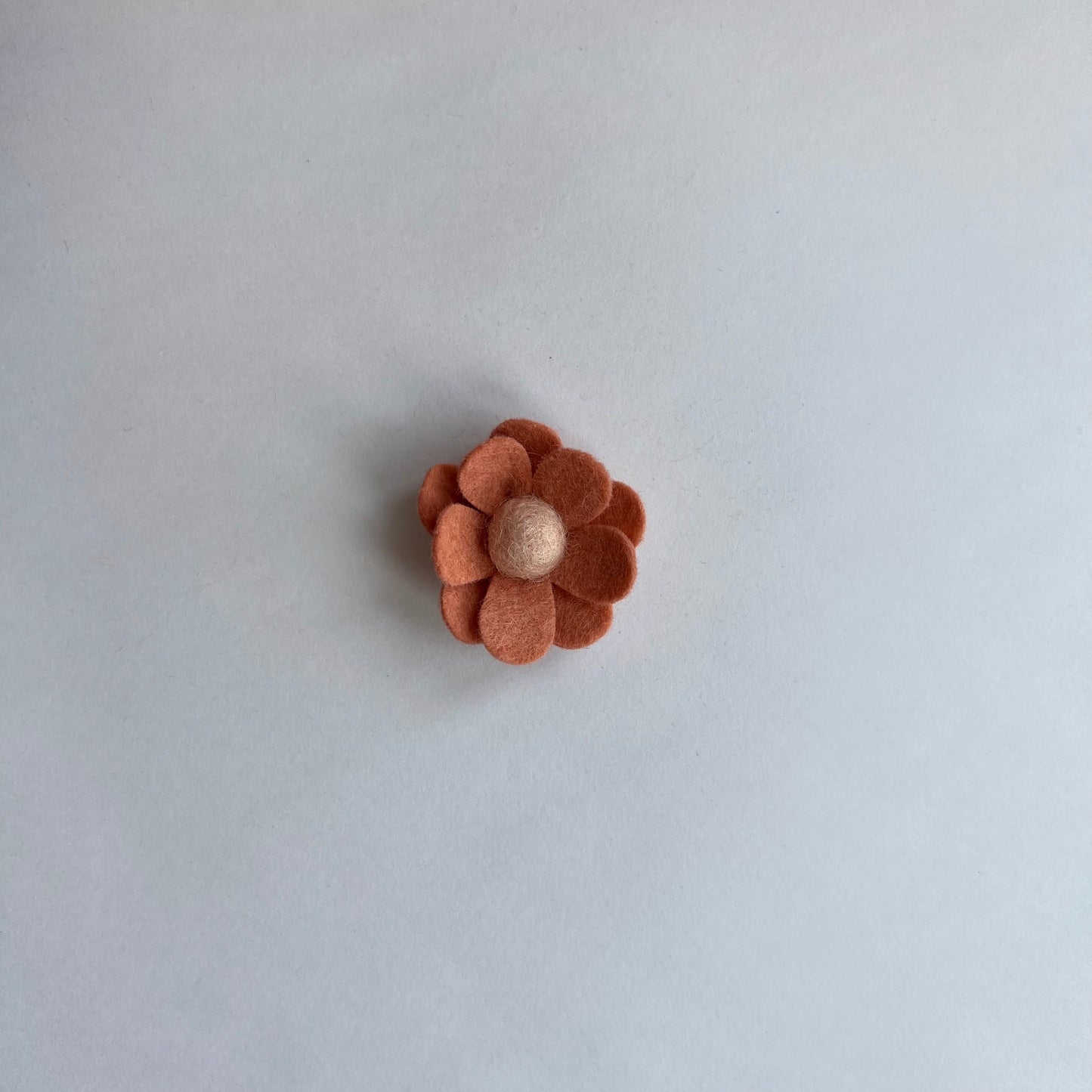 neutral daisies