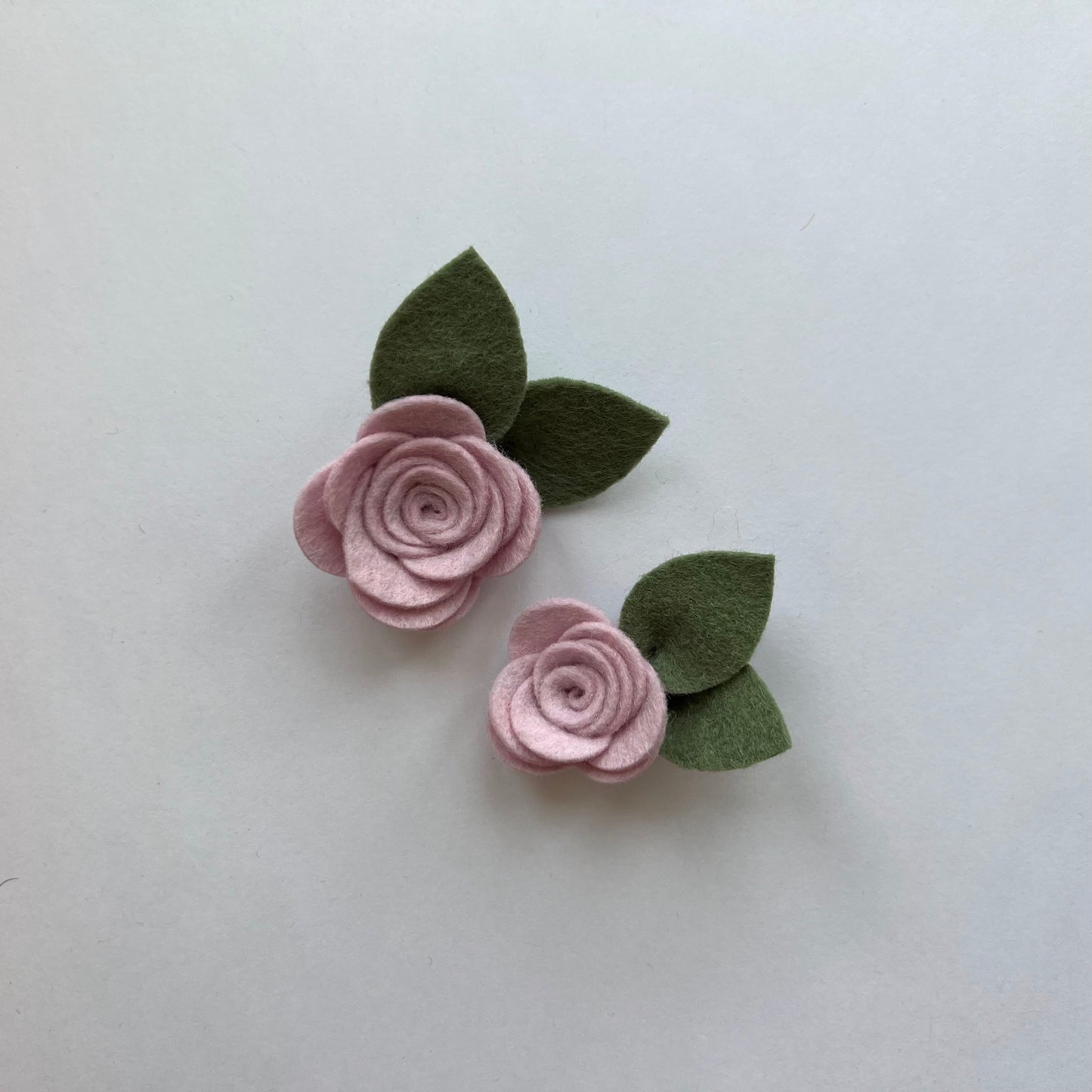 little summer single flowers