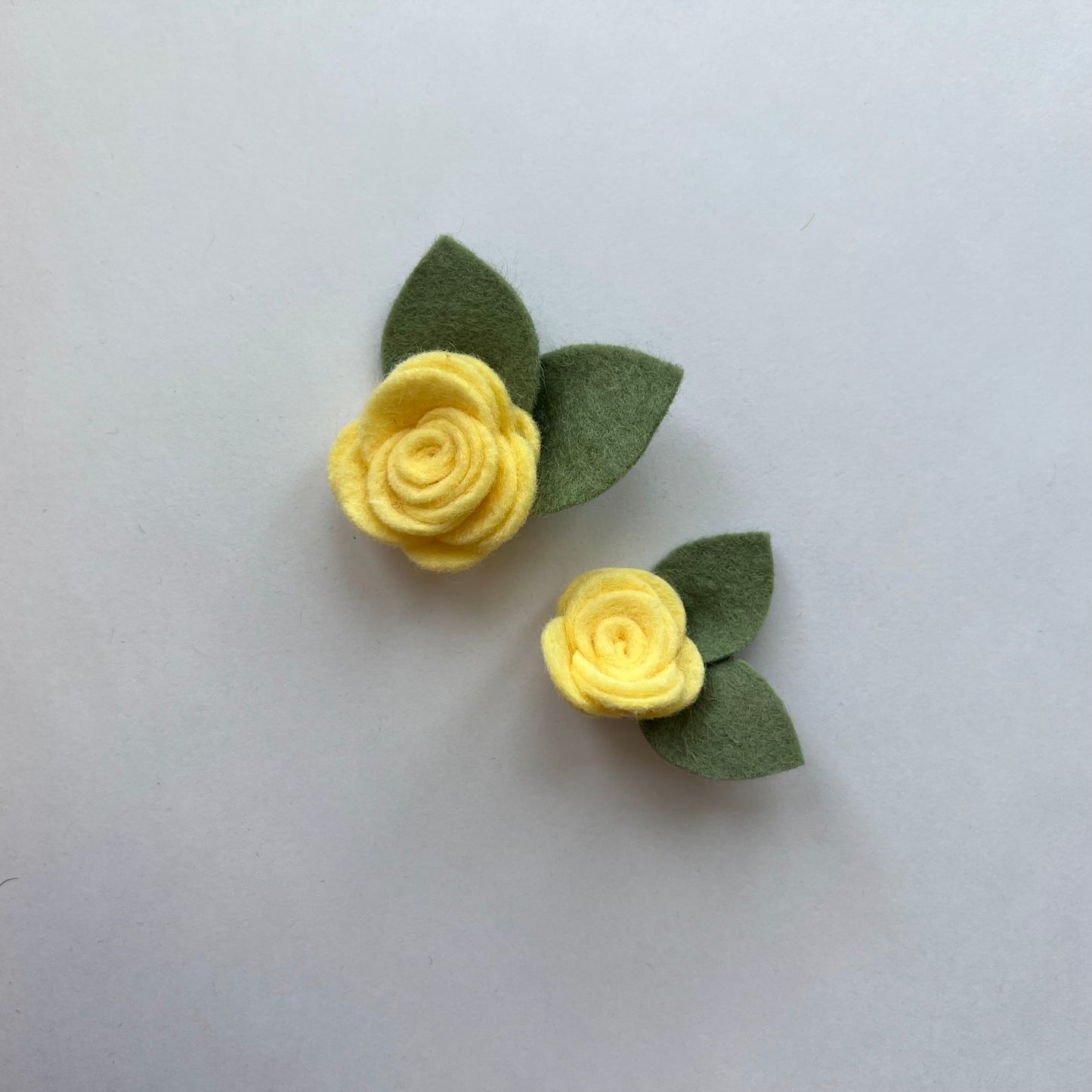 little summer single flowers