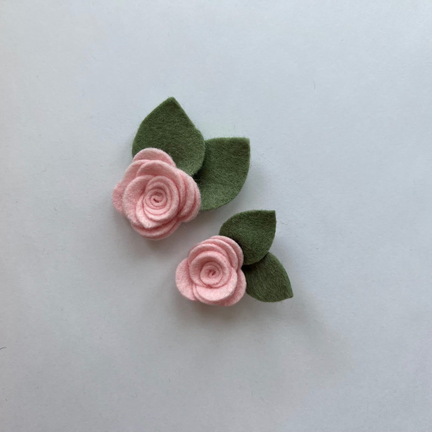 little summer single flowers