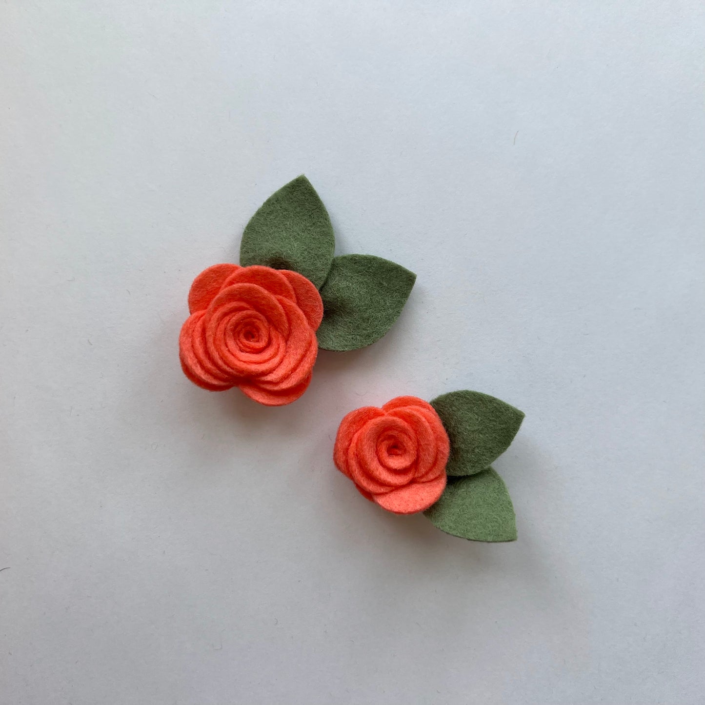 little summer single flowers