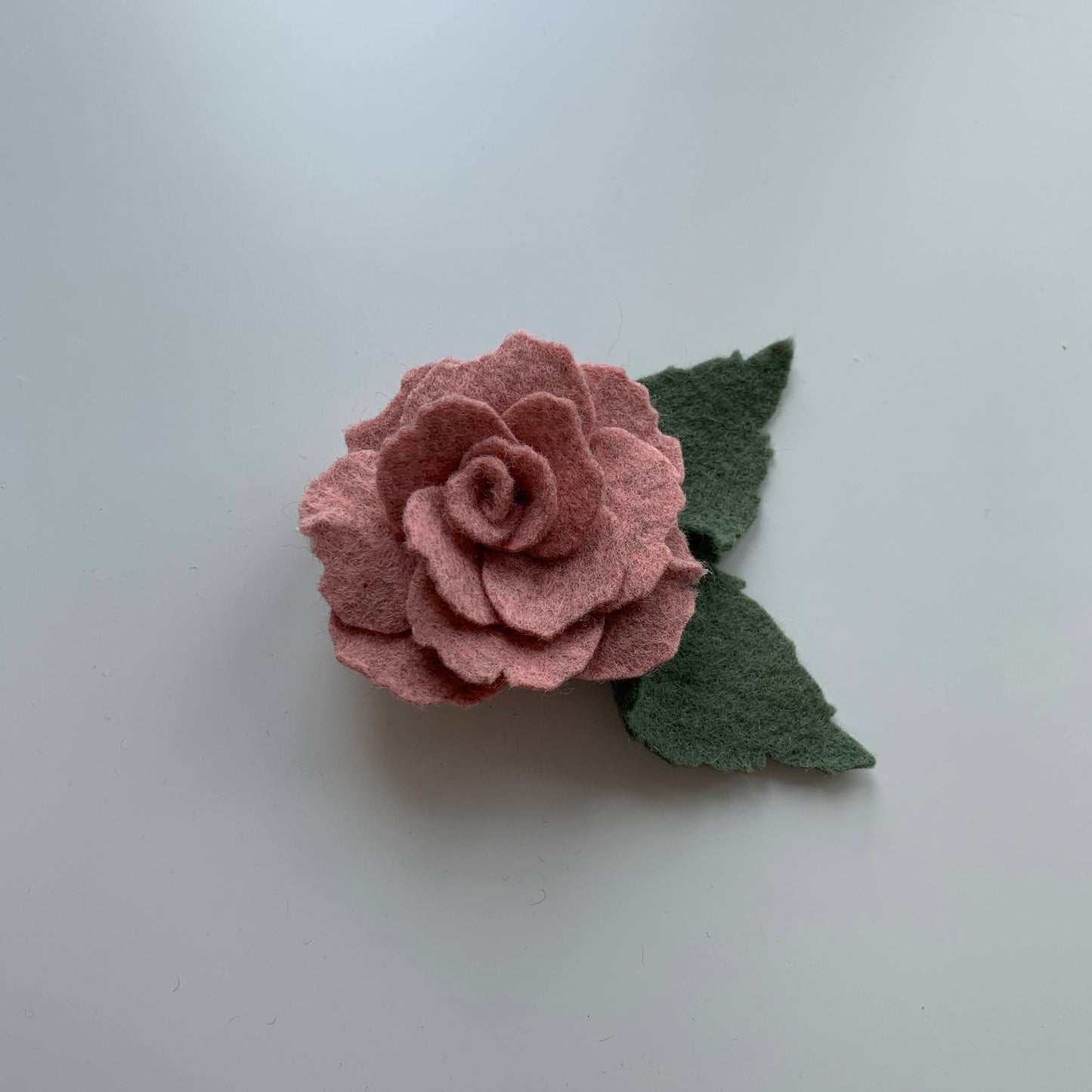 fairy rose