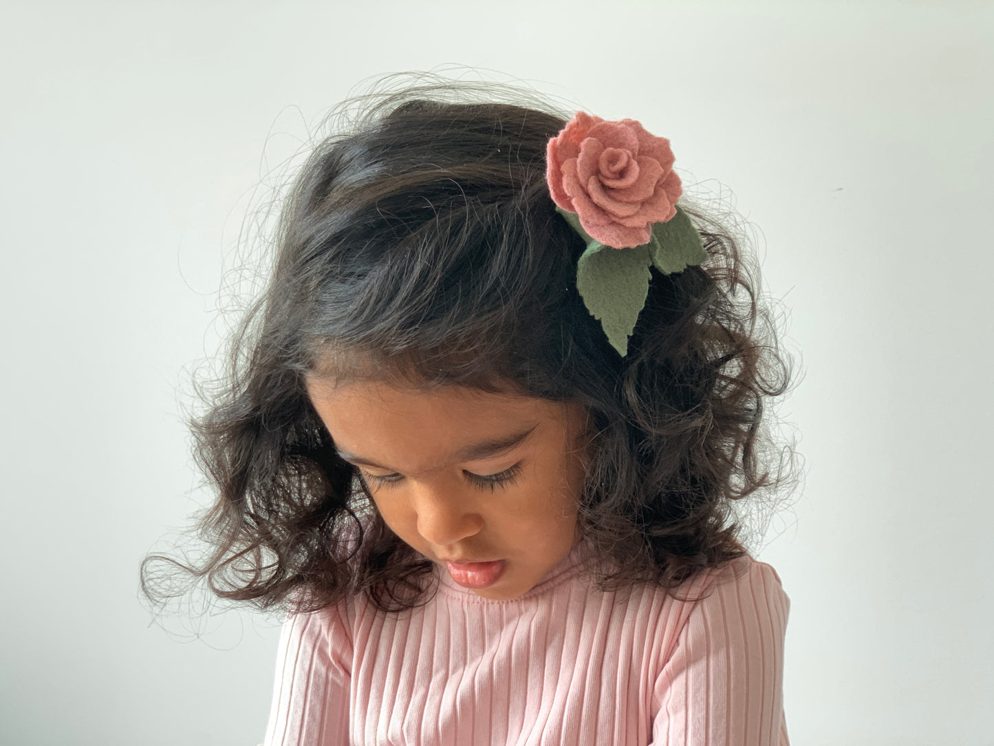fairy rose