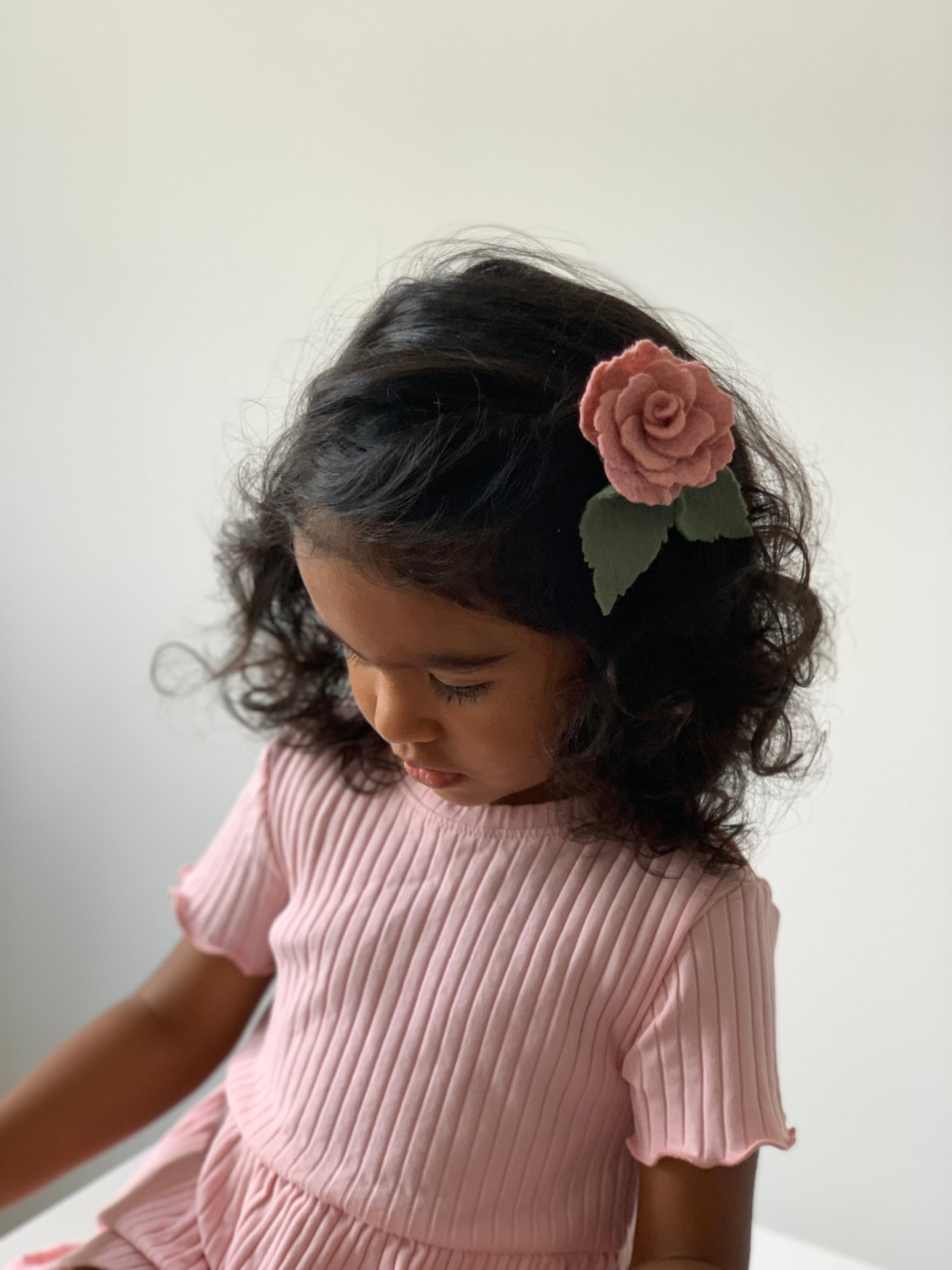 fairy rose
