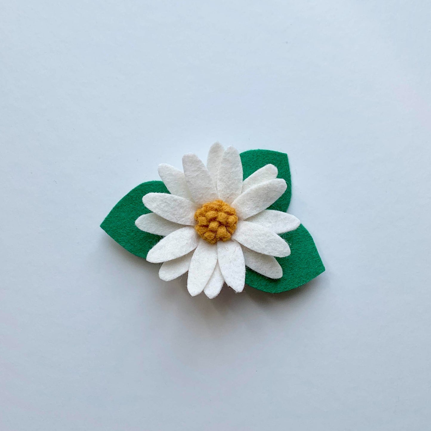 wild summer daisy